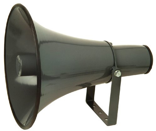 Eagle 100 V Line Horn Speaker