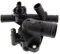 Mapco 28121 Thermostat