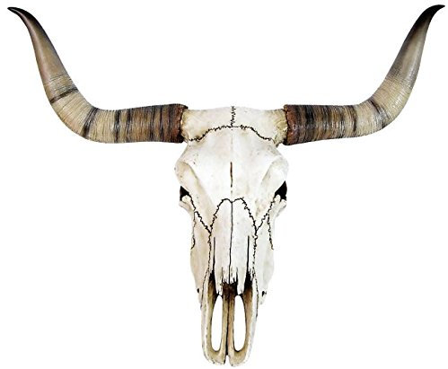 VOGLER Bullenschädel Longhorn Schädel Skull Totenschädel Schädel Geweih