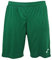Joma Homme Nobel Shorts, Vert, M EU