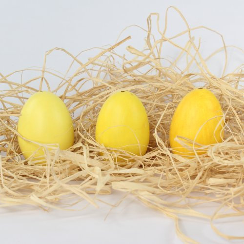 Ei Osterei, echte ausgeblasene Gänseeier für Osternest Ostern, 12er Box, sortiert in 3 verschiedenen Farbtönen, gelb