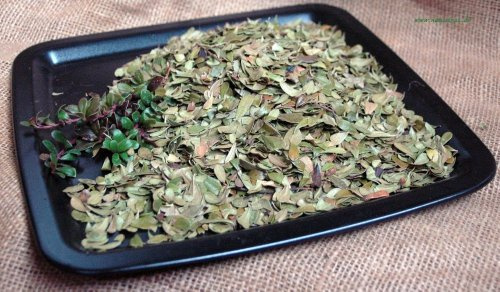 Naturix24 – Bärentraubenblättertee, Bärentraubenblätter ganz – 250 g Beutel
