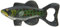 Design Toscano SP852 Apribottiglie in Ghisa Storie da Trota, Multicolore