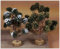 Krippen Landschaft, Brunnen mit Schaf und Hackklotz, Miniatur, 15x15 cm + Baum für Krippenstall aus Naturmaterial, Krippenbotanik. 15x12x15 cm., Holzstoß und Hackklotz und Korb mit Holz, Krippen Zubehör für Weihnachtskrippe oder Passionslandschaft. Jedes Set ein Unikat. Deshalb können Abweichungen vom Bild möglich sein.