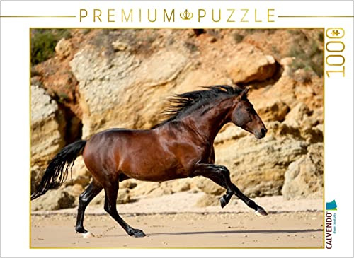 CALVENDO Puzzle EIN Motiv aus dem Kalender Caballos Spanische Pferde 2017 | 1000 Teile Lege-Größe 64 x 48 cm Foto-Puzzle für glückliche Stunden