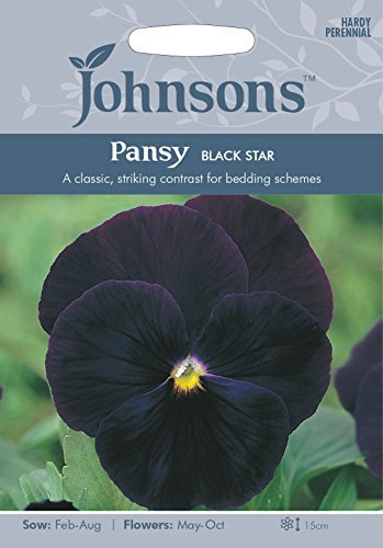 Johnsons Pansy Black Star