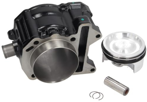 Piaggio 876457 Cylinder for 300 cc