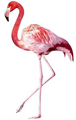 Bilderwelten Wandtattoo No.YK21 Pink Flamingo, Größe HxB:135cm x 80cm