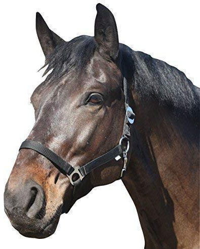 Eldorado Halfter Standard - schwarz - Pony