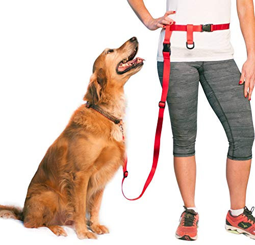The Buddy System Hundeleine, verstellbare Leine zum Laufen, Joggen, Training und Diensthunde, ideal für kleine, mittelgroße und große Hunde, Rot, Größe XL (Taillenumfang 83,8 -