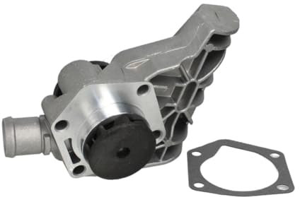 Hepu P647 Wasserpumpe