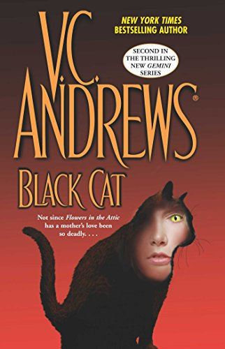 Black Cat (Gemini Book 2) (English Edition)