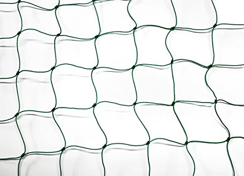PieloBa Ballfangnetz - Ballnetz - Netz - grün - Masche 5 cm - Stärke: 1,2 mm - Größe: 3,00 m x 10 m