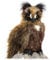 Folkmanis Great Horned Owl Hand Puppet