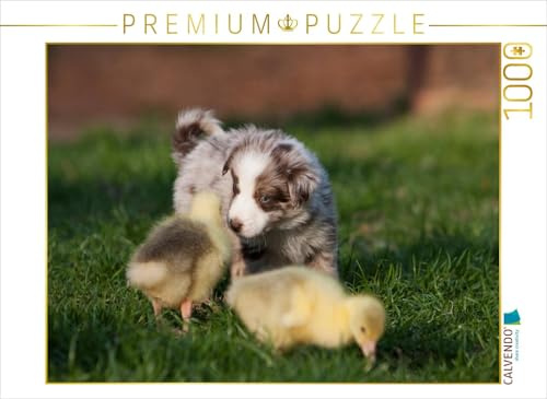 CALVENDO Puzzle Alle Meine Gänschen | 1000 Teile Lege-Größe 64 x 48 cm Foto-Puzzle für glückliche Stunden