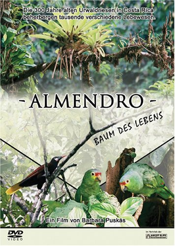 Almendro - Baum des Lebens