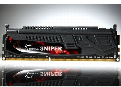 G.Skill F3-2400C11Q-16GSR Arbeitsspeicher 16GB (2400MHz, CL11) DDR3-RAM
