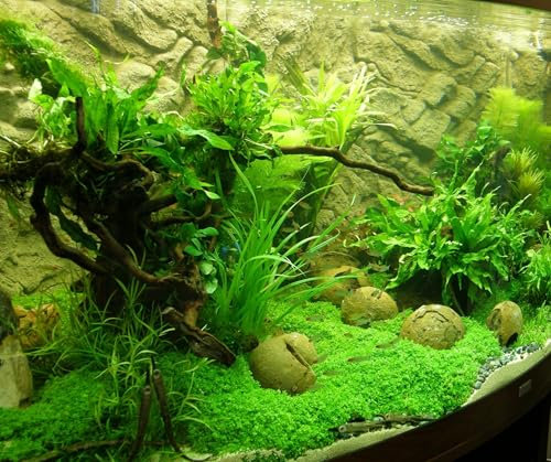 Set für 400 l Aquarium Pflanzen, Kies, Deko (XXVI)