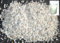 quarzsand24.de 25 KG SaMore AQUARIUMSAND AQUARIENSAND BODENGRUND 2,0-3,5 mm AQUARIENKIES HOCHREIN NATURWEISS innerhalb Deutschlands