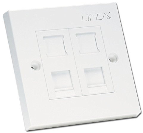 LINDY - Enchufe para encastrado en Pared con 2 entradas RJ45 con pestaña (Cat. 6), Color Blanco