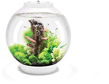 biOrb Classic 30 MCR weiß