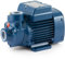 Pompe électrique Pedrollo Pkm 60 0.50Hp V230