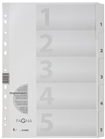 Pagna 31003-08 Register 1-5, A4, 5-teilig, weiß