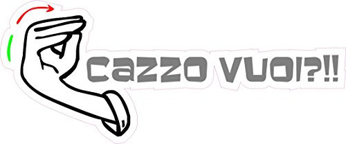 1 x Aufkleber Cazzo Vuoi Italian Italiano Gesti Italia Fun Gag Tuning Sticker US