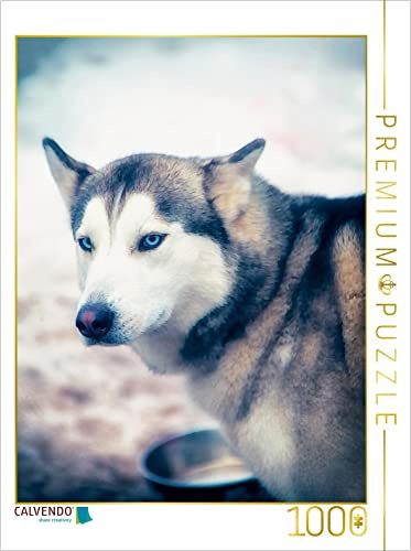 CALVENDO Puzzle EIN Motiv aus dem Kalender Huskies - Artwork | 1000 Teile Lege-Größe 48 x 64 cm Foto-Puzzle für glückliche Stunden