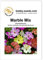 Blumensamen Marble Mix Mirabilis Portion