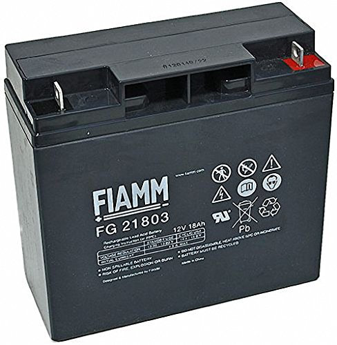 Original FIAMM Akku 12V 18AH FG21703 / FG21803 kompatibel mit FR2:LB352612 GP 12170 GP12170 CSB GP12170