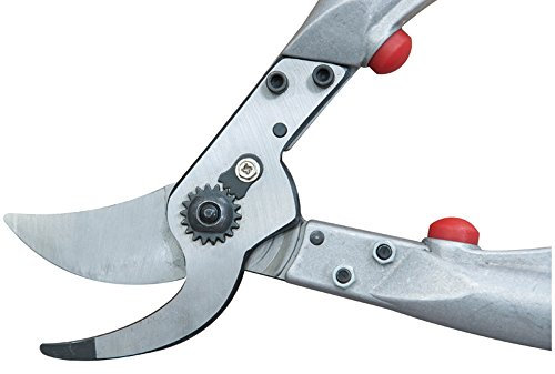 Siena Garden Ersatzteile zu Premium Bypass Astsche 209109, 246635