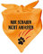 Hunde Dreiecks Halstuch (Fb: gelb) (Gr. 1 (55 cm)) Nur schauen Nicht anfassen