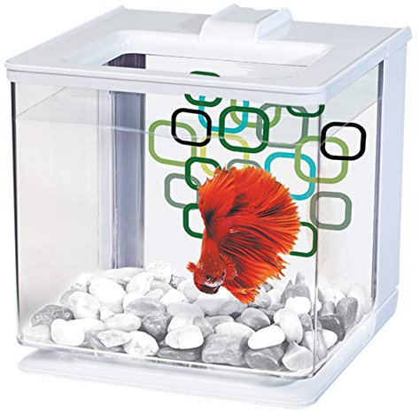 Marina Betta EZ Care Aquarium, Weiß
