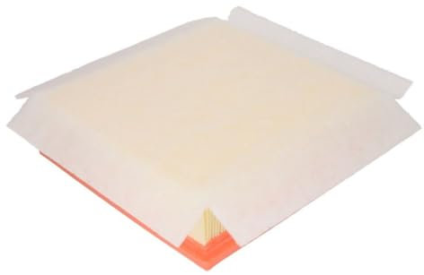 Filtron Filtro dell' aria, ap072/2