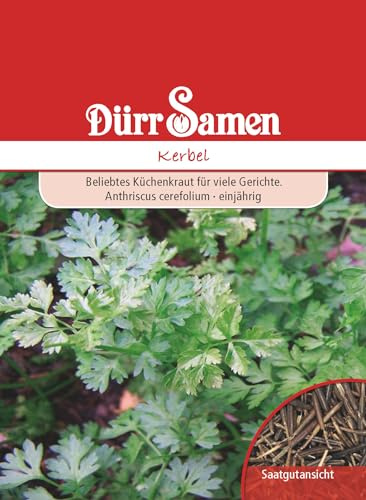 Kerbel Samen Kerbelsamen ca 600 Korn Küchenkräuter Kräutersamen Saatgut Balkon Garten Hochbeet Kübel Dürr Samen