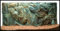 3D Aquarien Rückwand 60x30 Fels mit Wurzel