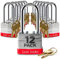 Lion Locks Cadenas à 12 clés identiques avec anse de 5,1 cm de long, 24 clés – Cadenas pour usage extérieur, serrures avec clés, boîtier en acier trempé, cylindre à goupille en laiton résistant au
