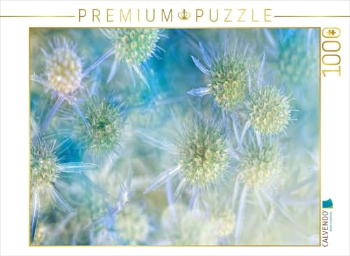 CALVENDO Puzzle Blaudistel | 1000 Teile Lege-Größe 64 x 48 cm Foto-Puzzle für glückliche Stunden