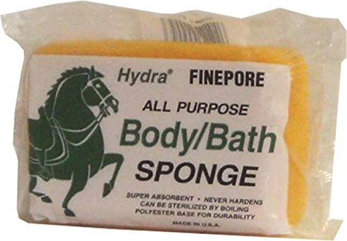 Sponge Body Square FSB1