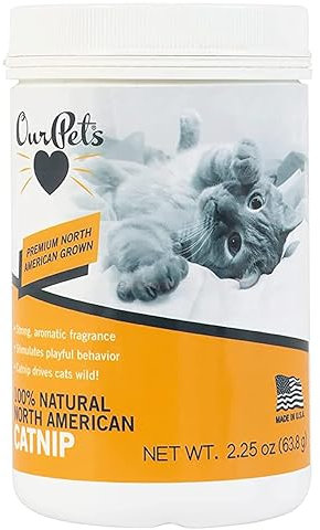 Our Pets Pot à Herbe à Chat Chat Herbes, 2,25 Oz