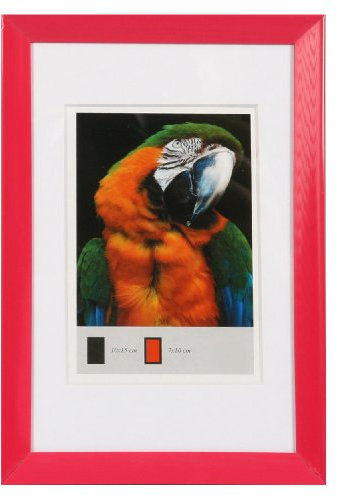 Timeless Kunststoff Bilderrahmen 10x15 bis 40x50 mit Passepartout Foto Rahmen: Farbe: Pink | Format: 10x15