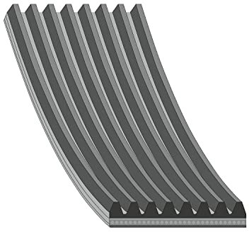 febi bilstein 29053 Keilrippenriemen 8 Rippenanzahl, 1 Stück