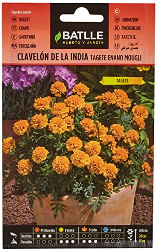 Semillas Batlle Clavelon de la India MOUGLI