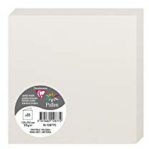 Clairefontaine 12877C Packung (mit 25 Doppelkarten Pollen, Gefaltet, 135 x 135 mm) 210g, Hellgrau