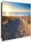 banjado® Großer Schlüsselkasten Glas/Schlüsselbox 30cm x 30cm mit 50 Haken - Motiv Nordseestrand/Schlüsselkasten modern für Schlüsselaufbewahrung mit beschreibbarer, magnetischer Glastür