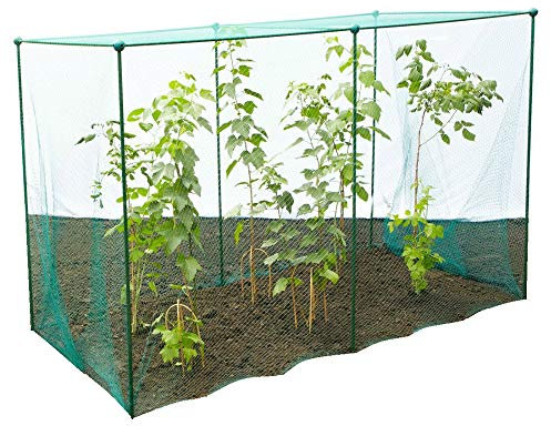 GardenSkill Fruit and Vegetable Garden Cage Kit with Bird Netting - Raspberry Plant Protection (5m x 1.25m x 1.875m high)