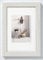 Walther Design Walther Cadre Photo Design Blanc Polaire 70 x 100 cm avec Passe-Partout, Home Cadre en Bois HO100V