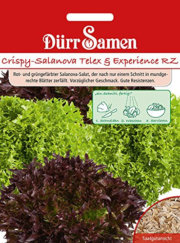 Dürr-Samen - Crispy-Salanova Telex + Experience RZ Saatgut