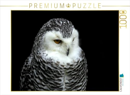CALVENDO Puzzle Greifvögel - Schneeeule | 1000 Teile Lege-Größe 64 x 48 cm Foto-Puzzle für glückliche Stunden